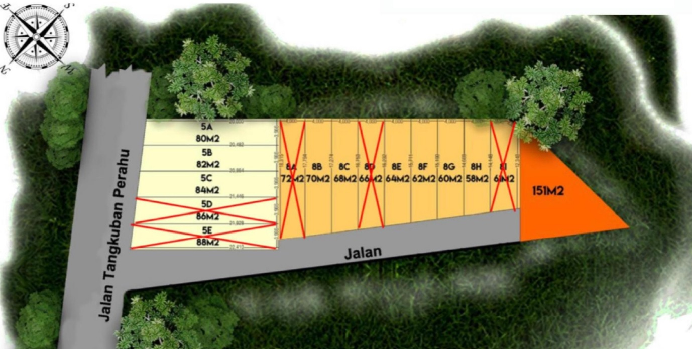 Image Map