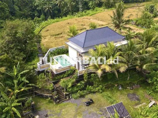 Image Property Extraordinary luxury villa for rent or sale in Ubud, Gianyar, Bali