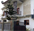 Image Property Djual Rumah lantai 2 di jln Padma Penatih dentim