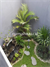 Image Property RUMAH MODERN MINIMALIS DI LOKASI STRATEGIS DEKAT PUSAT KOTA DENPASAR