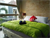 Image Property BALIKUBUCOM | AMS-026 RM.TM.SWG-3 Jual Rumah Tropis 3-BR Suwung Denpas