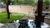Image Property TANGKUBAN PERAHU RUMAH FOR SALE