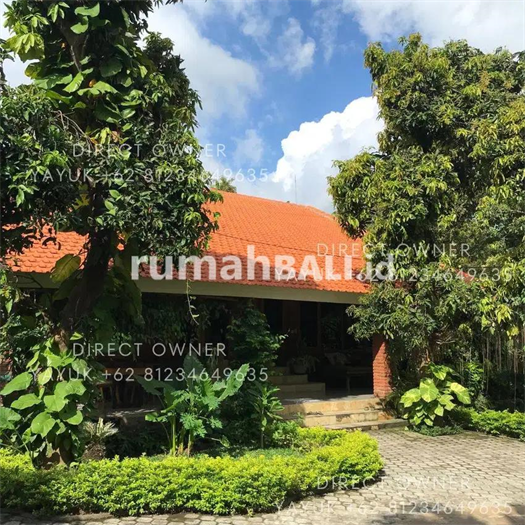 Image Property Villa Dijual di Lovina Bali Utara Villa For Sale North Bali