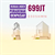 Image Property Jual Rumah murah Pura Demak Kalimutu Monang Maning Denpasar Bali