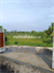Image Property FOR SALE modern villa with rice fields and ocean view