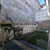 Image Property Rumah semi villa