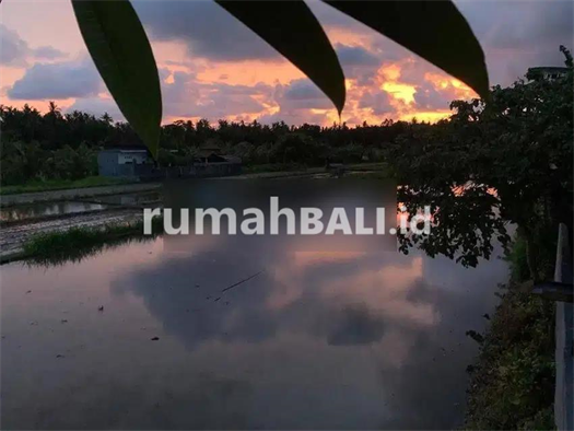 Image Property For sale or lease modern villa with fantastic view