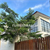 Image Property Dijual Villa Siap Huni Fully Furnish Sanur Bali