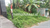 Image Property Dijual Tanah Kosong Daerah Ubung Denpasar