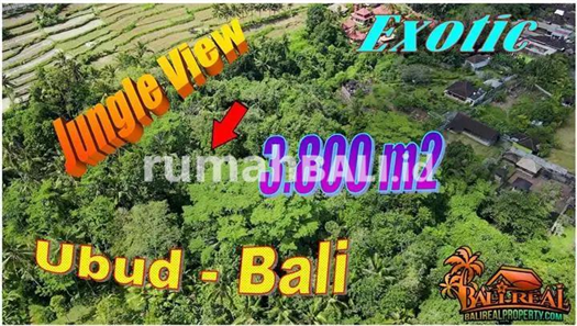 Image Property Exotic yet affordable 38.0 Are in Ubud Tampaksiring