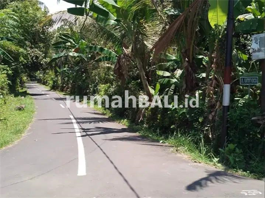 Image Property DiJual Tanah 125 jt/ara