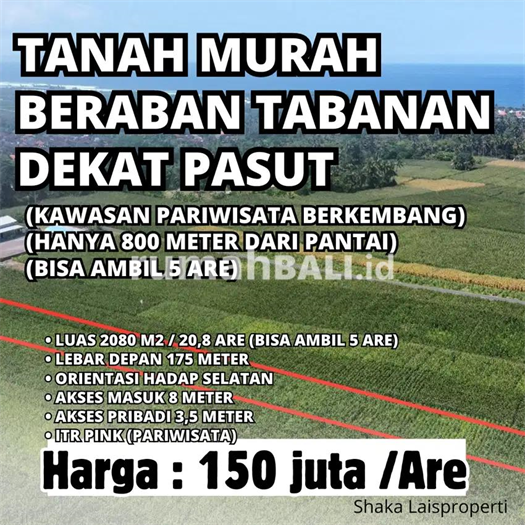 Image Property Dijual Tanah Kavling 2,5 Are ITR PARIWISATA Beraban Pasut Tabanan