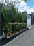 Image Property For rent yearly suitable for home or office