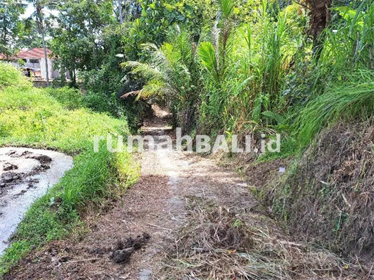 Image Property Dijual tanah jarang ada di ubud 350 m2 view sawah cocok untuk  villa