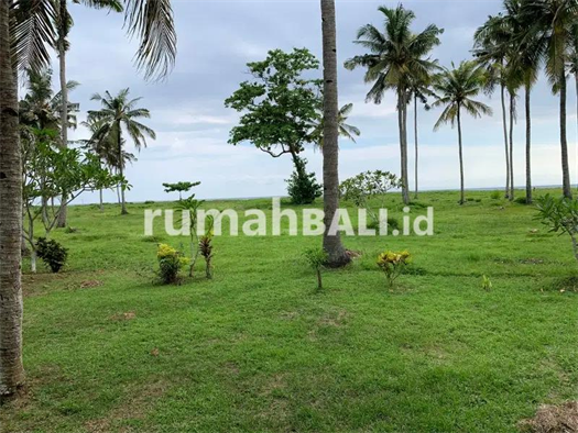 Image Property Dijual Tanah Los Pantai Pulukan, Dekat Dengan Dajuma Hotel