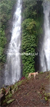 Image Property Tanah Wanagiri - Turyapada Skywalk, dekat bedugul. Air Terjun.