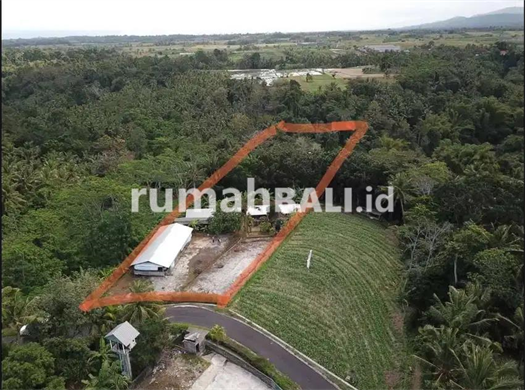 Image Property Tanah Los Sungai cocok untuk Villa atau perumahan