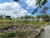 Image Property Tanah SHM 33,7 Are Cemagi Cocok Untuk Villa