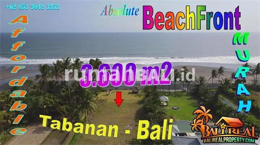 Image Property Siap Bangun 36 Are cocok untuk Villa Akses Jalan Pribadi