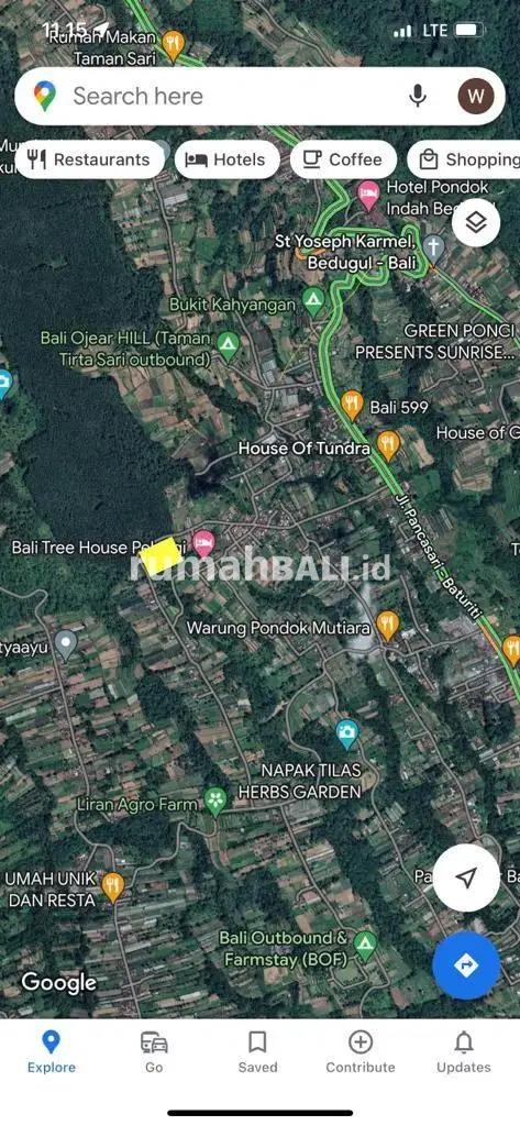 Image Property Tanah 1,2 hektar. Kaw Sejuk Villa Baturiti - Bedugul