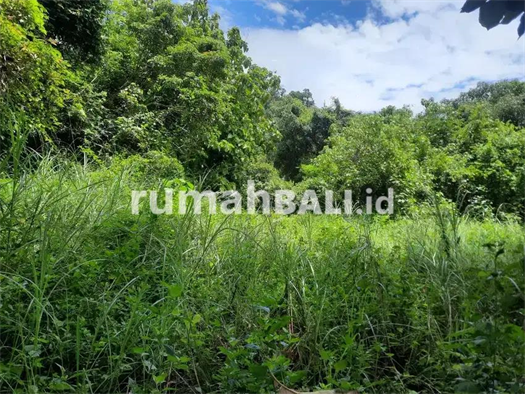 Image Property Dijual Tanah Murah 3,6 Are Pagutan View Sungai , Villa &  ATV
