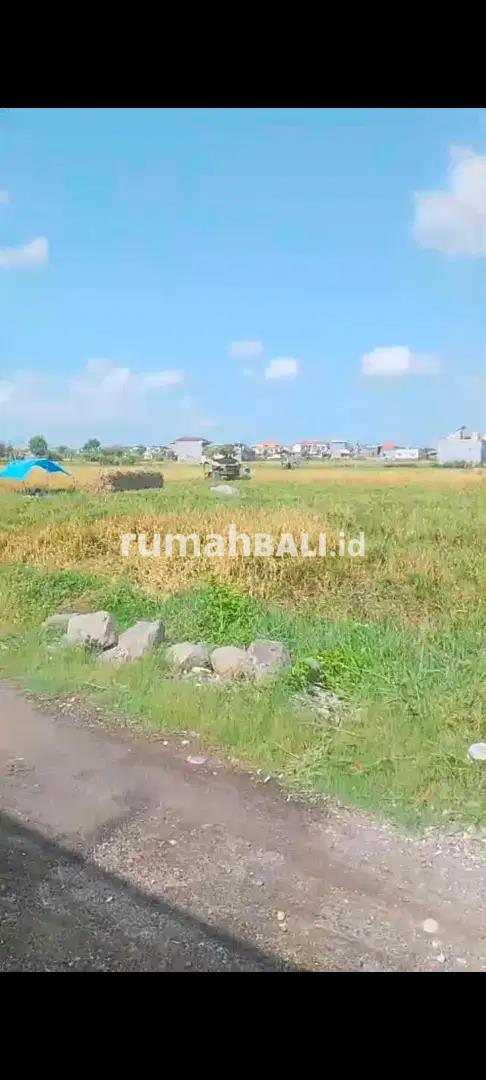 Image Property Di kontrakkan rumah tinggal di lokasi strategis