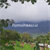 Image Property for sale cheap land pancasari bedugul full view negotiable price