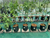 Image Property For sale Kebun di Gianyar Bali