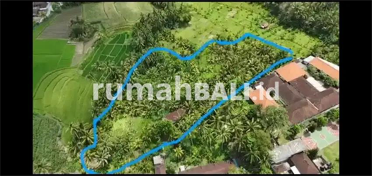 Image Property Dikontrakkan Tanah