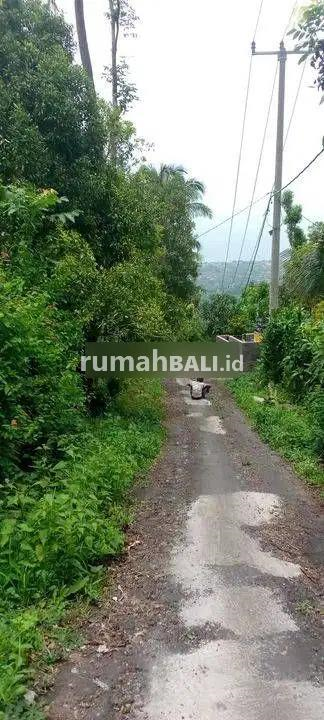 Image Property For sale land 10 munite to Lovina global just 250 juta 10 are land