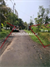 Image Property Tanah kebun dg luas total 90 are