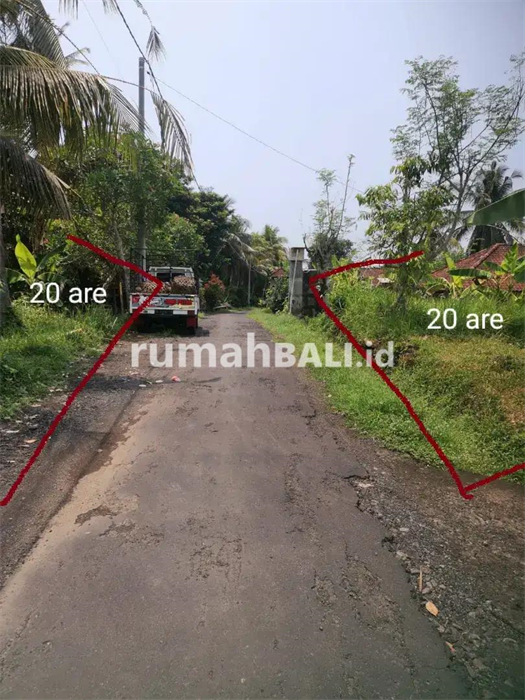 Image Property Tanah kebun dg luas total 90 are