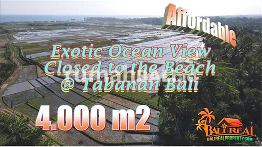 Image Property View Sawah dan Laut 4,000 m2 di Kerambitan Tabanan