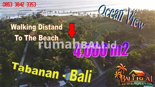 Image Property Tanah Ngantong 4,000 m2 Dijual Murah area Antap