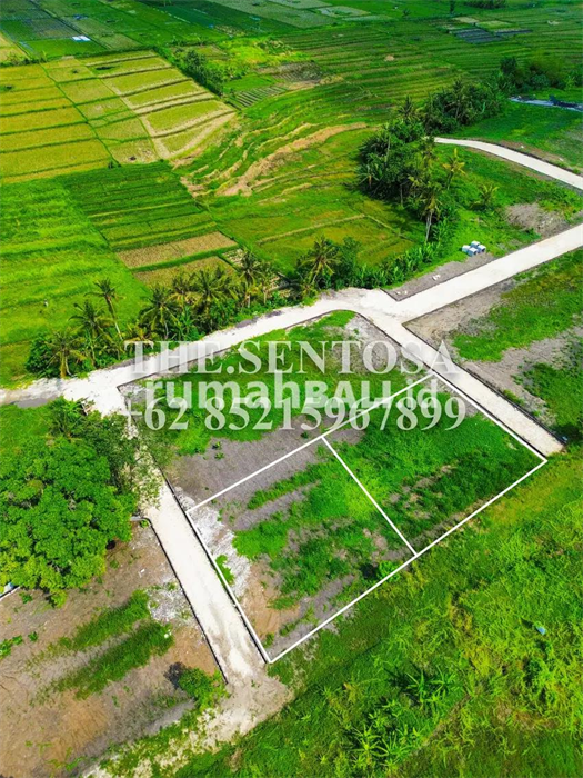 Image Property DIJUAL TANAH KEDUNGU