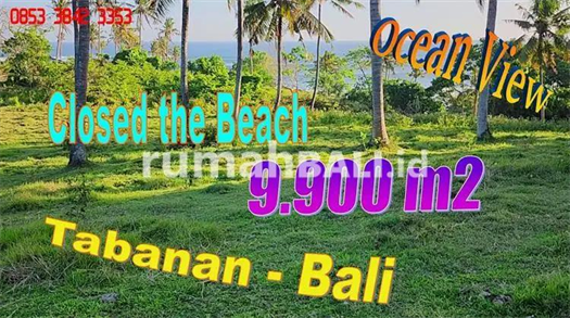 Image Property 9,900 m2 Posisi Hook Pinggir Jalan Utama area Selemadeg Barat