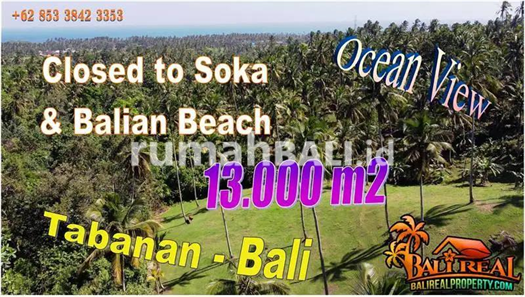 Image Property Potensial, 100 are di Selemadeg Barat untuk Investasi Properti