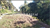 Image Property Dijual tanah murah di Ubud center