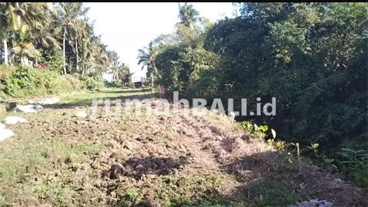 Image Property Dijual tanah murah di Ubud center