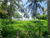 Image Property Commercial Land In Balian With Best Location And Best Ocean View