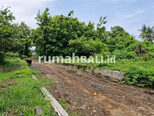 Image Property Jual Tanah strategis  Butuh Uang di Lovina Singaraja
