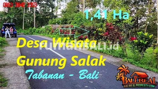 Image Property Pinggir Jalan Hotmix 14,100 m2 Jual Murah di Selemadeg Timur