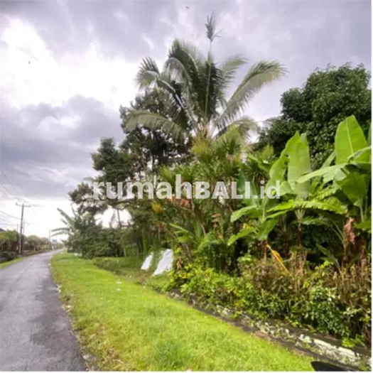 Image Property jual tanah penebel tabanan tanah kebun tabanan penebel