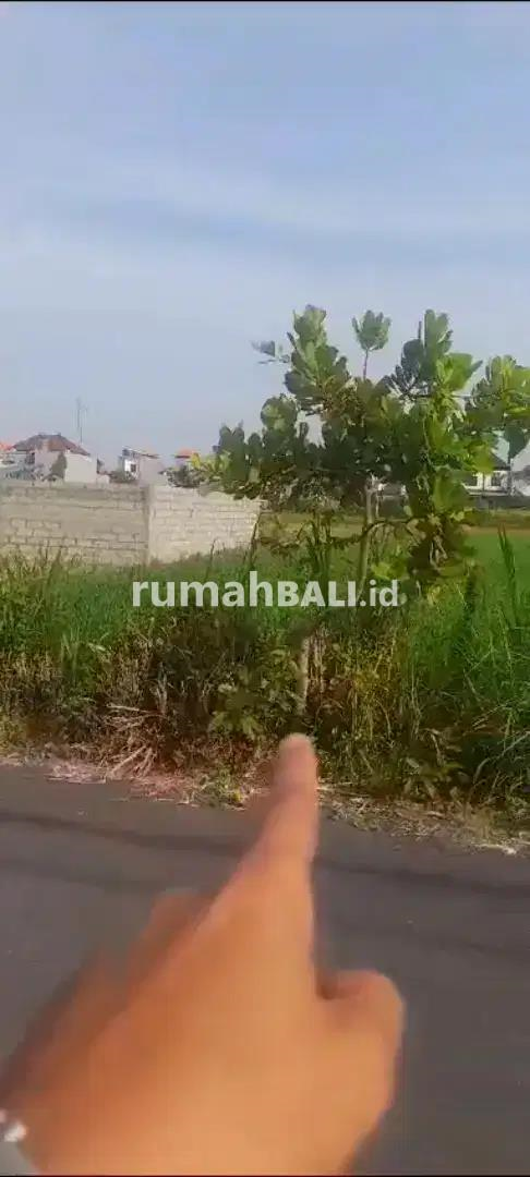 Image Property Disewakan tanah di sedap malam Denpasar timur dekat Renon 70000