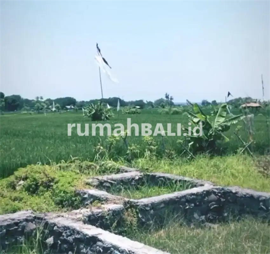 Image Property Jual tanah di seririt