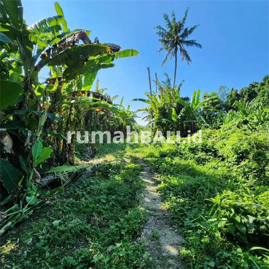 Image Property Dijual Tanah Tumbak Bayuh