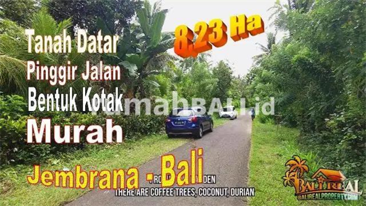 Image Property 82.300 m2 View Perkebunan di Jembrana, Tanah Siap Bangun