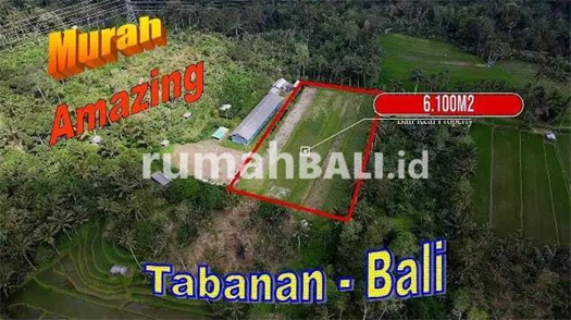 Image Property Strategis area Pupuan 61 are View Sawah, Kebun dan Gunung