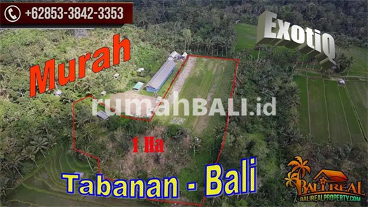 Image Property View Sawah, Kebun dan Gunung 10,000 m2 di Pupuan Tabanan