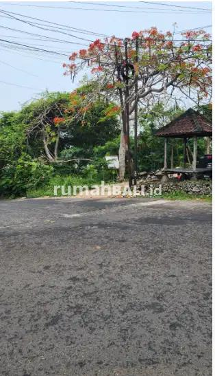Image Property Tanah 3 Are di Jl Tunjung Ungasan